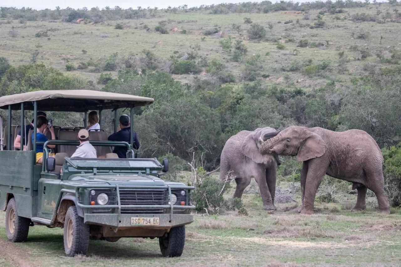 Pumba Private Game Reserve Grahamstown Luaran gambar