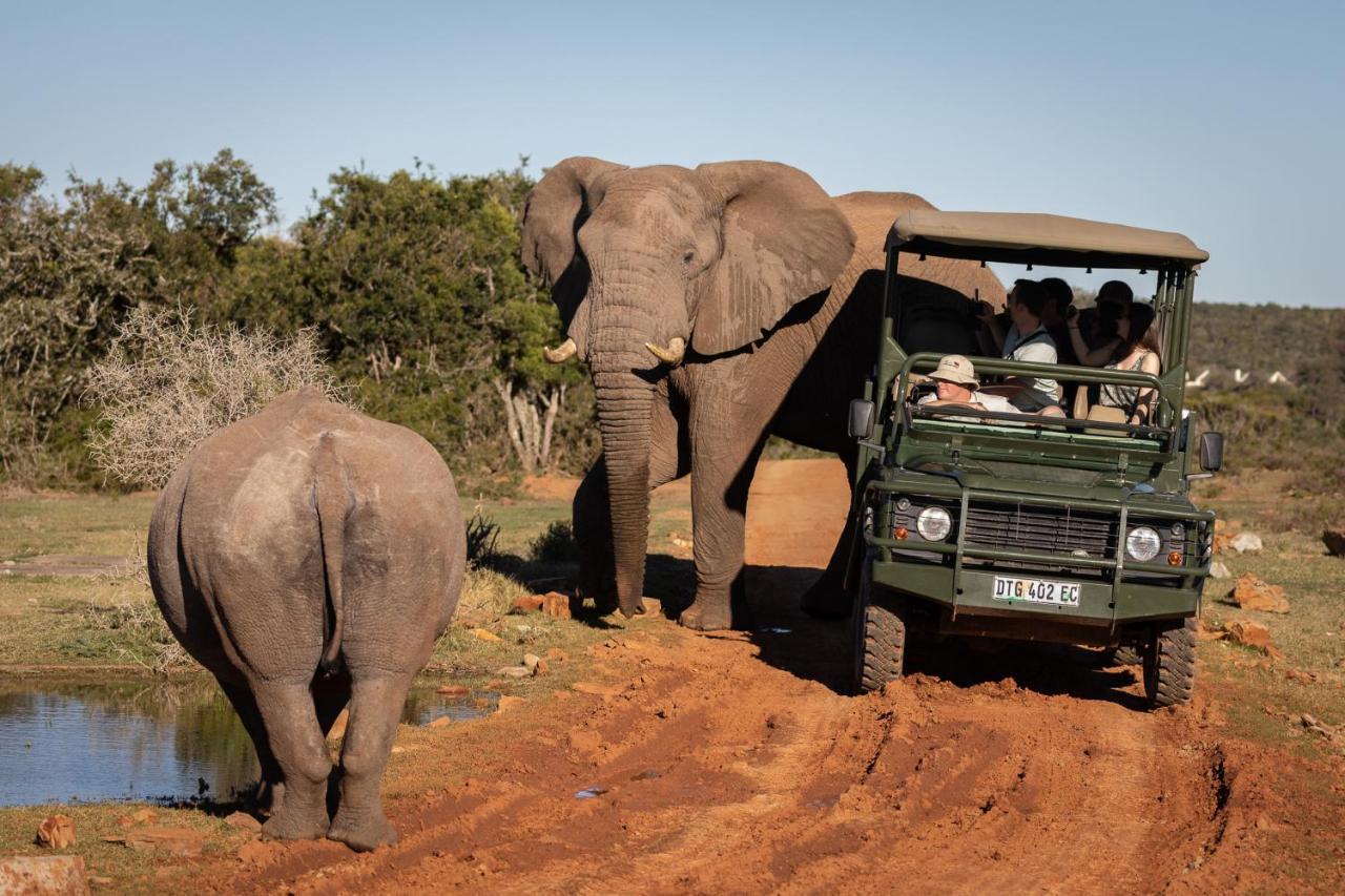 Pumba Private Game Reserve Grahamstown Luaran gambar