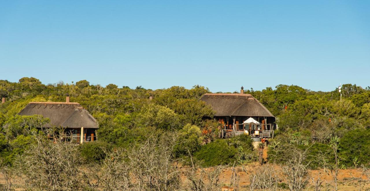 Pumba Private Game Reserve Grahamstown Luaran gambar